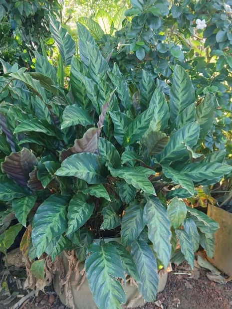 ORACI�N DE LA NOCHE: Lunes, 30 de marzo del 2026