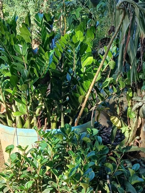 ORACI�N DE LA NOCHE: Martes, 31 de marzo del 2026