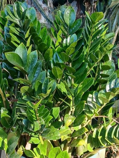 ORACI�N DE LA NOCHE: Mi�rcoles, 1 de abril del 2026