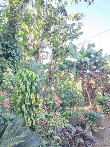 ORACI�N DE LA NOCHE: Lunes, 6 de abril del 2026