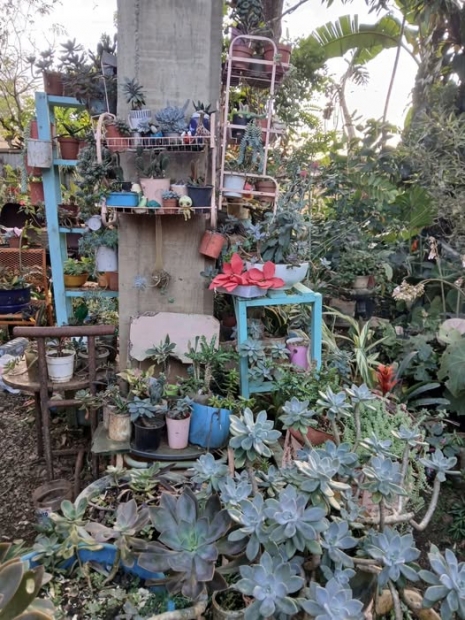 ORACI�N DE LA NOCHE: Martes, 8 de abril del 2026