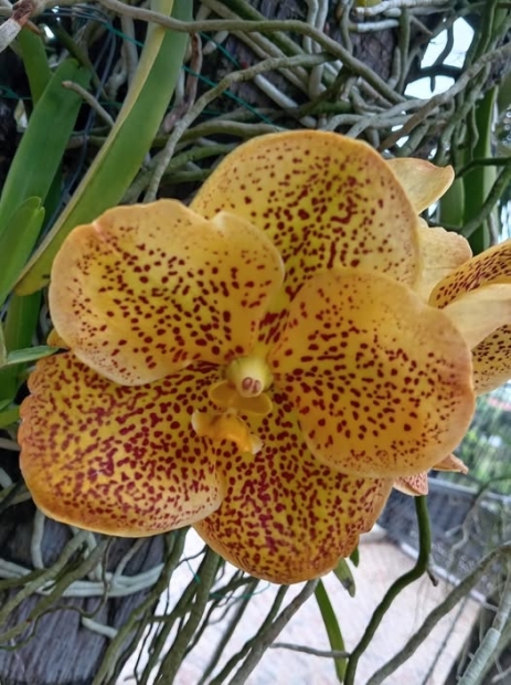 ORACI�N DE LA NOCHE: Viernes, 17 de abril del 2026