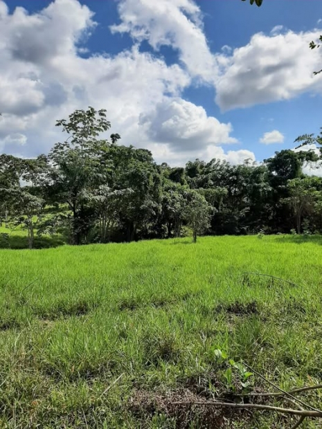  ORACI�N DE LA NOCHE: Martes, 28 de abril del 2026