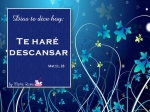 Hoy5