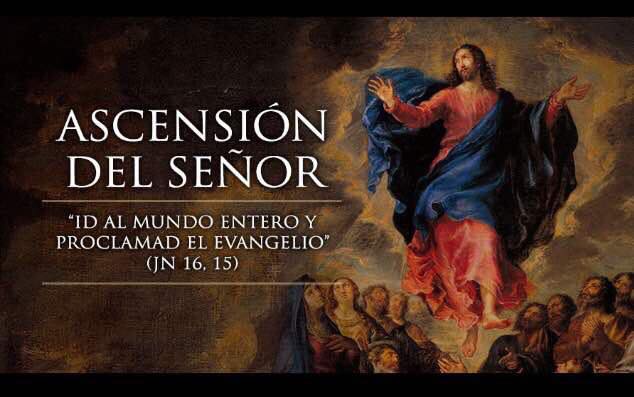 Hoy domingo celebramos la Ascensi�n del Se�or 